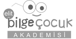 Bilge Cocuk Academy